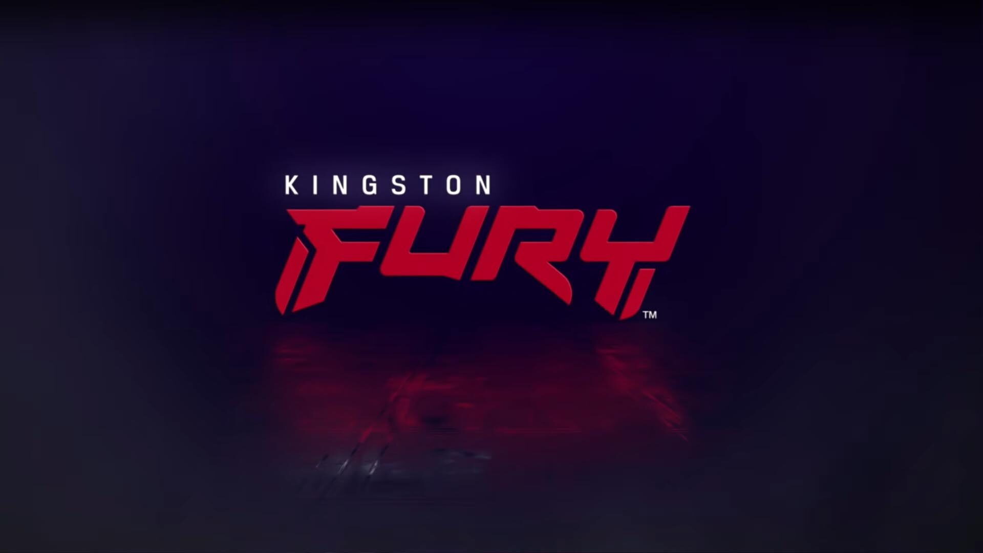 Informe Kingston Fury Techandising