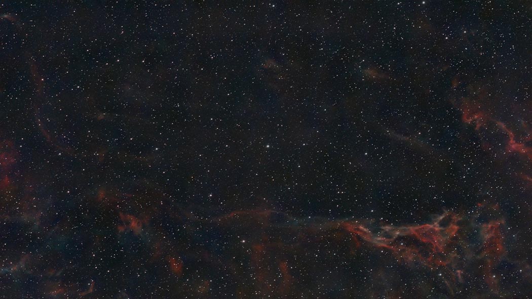 Cygnus